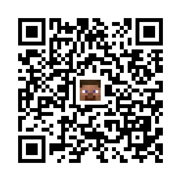 skins.qr_code_alt