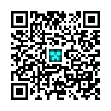 skins.qr_code_alt