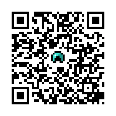 skins.qr_code_alt