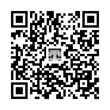 skins.qr_code_alt