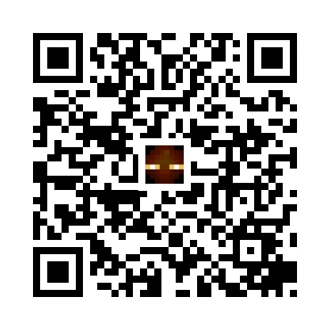 skins.qr_code_alt
