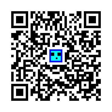 skins.qr_code_alt