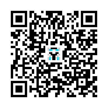 skins.qr_code_alt