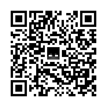 skins.qr_code_alt