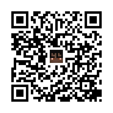 skins.qr_code_alt