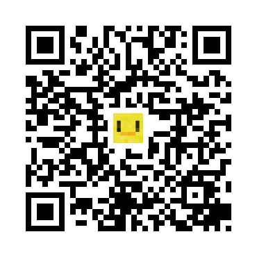 skins.qr_code_alt