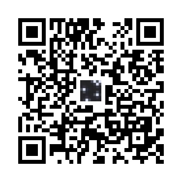 skins.qr_code_alt