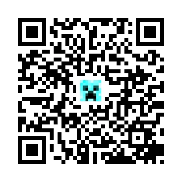 skins.qr_code_alt