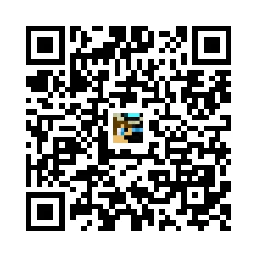 skins.qr_code_alt