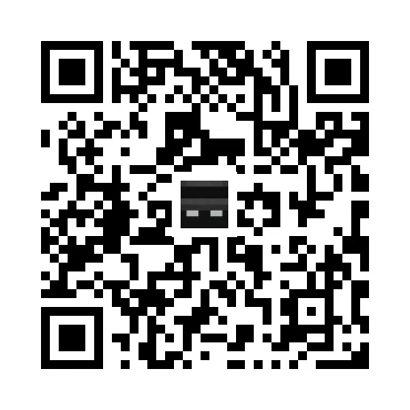 skins.qr_code_alt