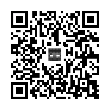 skins.qr_code_alt