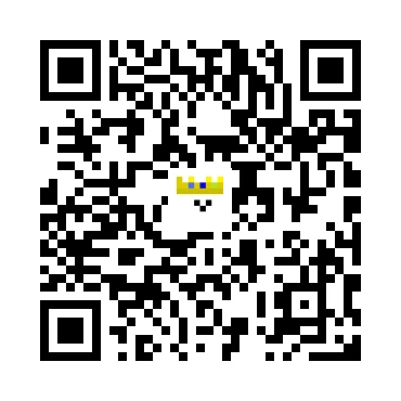 skins.qr_code_alt