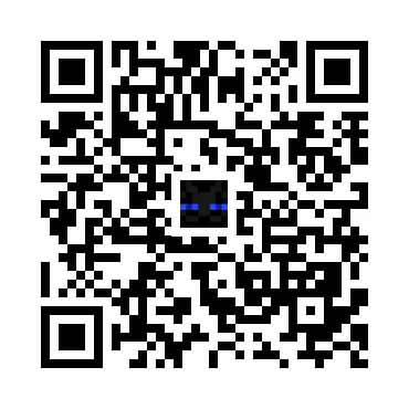 skins.qr_code_alt