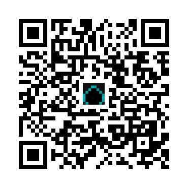 skins.qr_code_alt