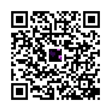 skins.qr_code_alt
