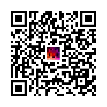 skins.qr_code_alt