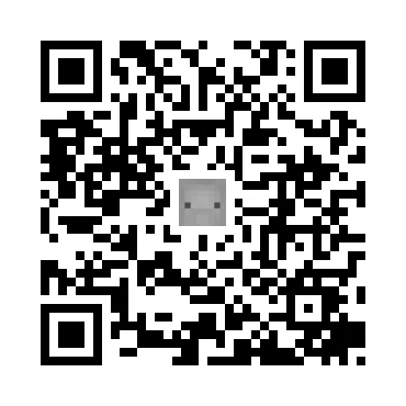 skins.qr_code_alt