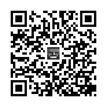 skins.qr_code_alt