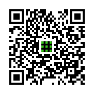 skins.qr_code_alt