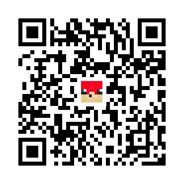 skins.qr_code_alt