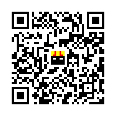 skins.qr_code_alt