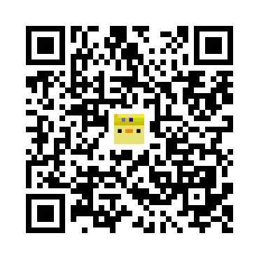 skins.qr_code_alt