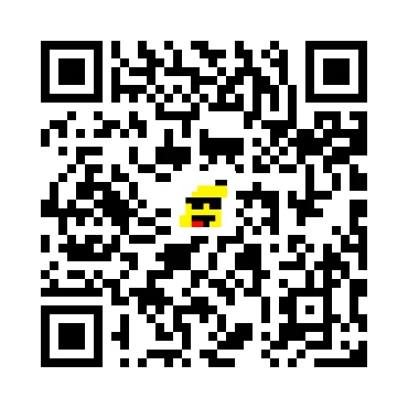 skins.qr_code_alt
