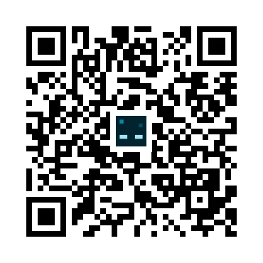skins.qr_code_alt