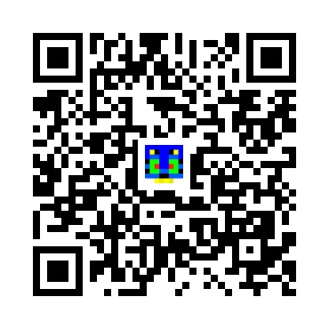 skins.qr_code_alt