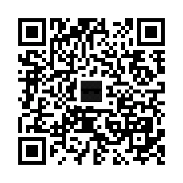skins.qr_code_alt