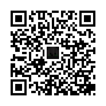 skins.qr_code_alt