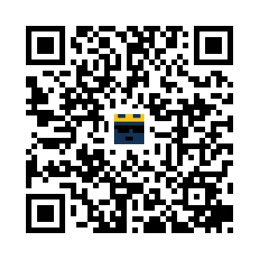 skins.qr_code_alt