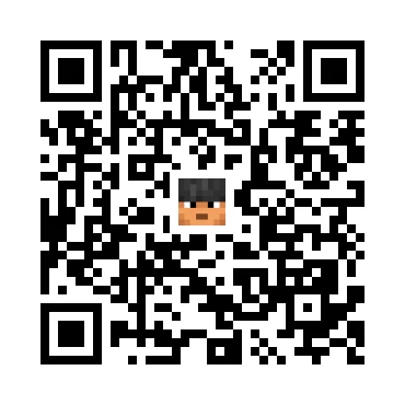 skins.qr_code_alt