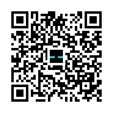 skins.qr_code_alt