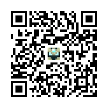 skins.qr_code_alt