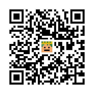 skins.qr_code_alt