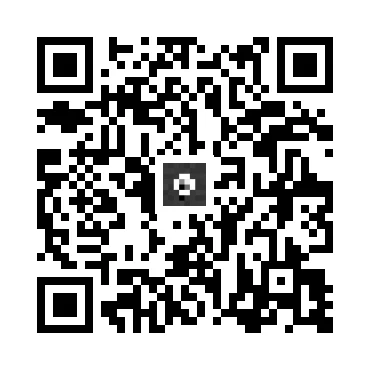 skins.qr_code_alt