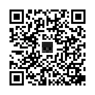 skins.qr_code_alt
