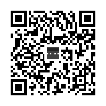 skins.qr_code_alt