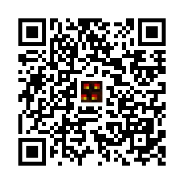 skins.qr_code_alt