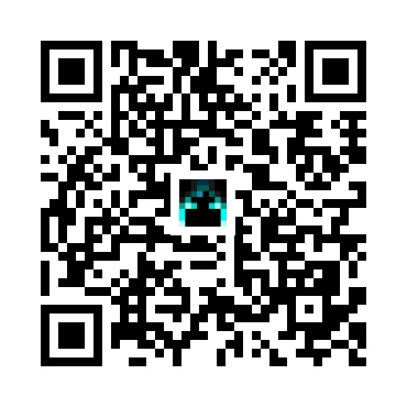 skins.qr_code_alt