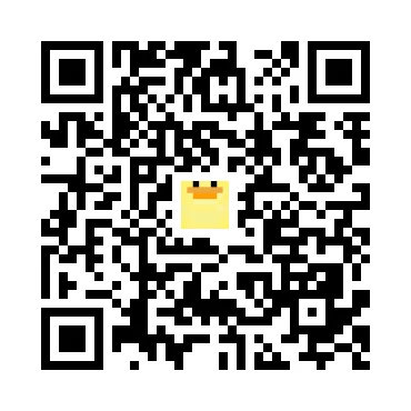 skins.qr_code_alt