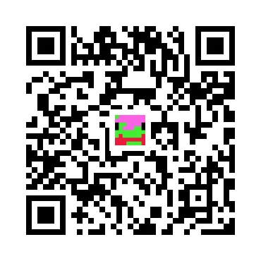 skins.qr_code_alt