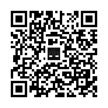 skins.qr_code_alt