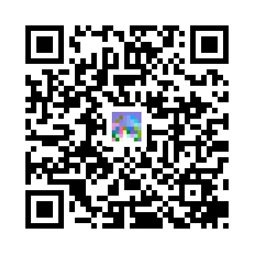 skins.qr_code_alt