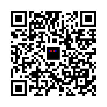 skins.qr_code_alt