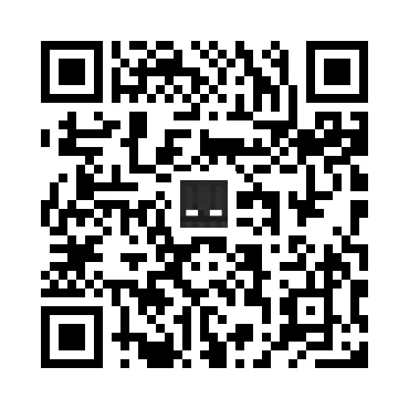skins.qr_code_alt