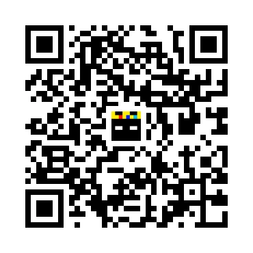 skins.qr_code_alt