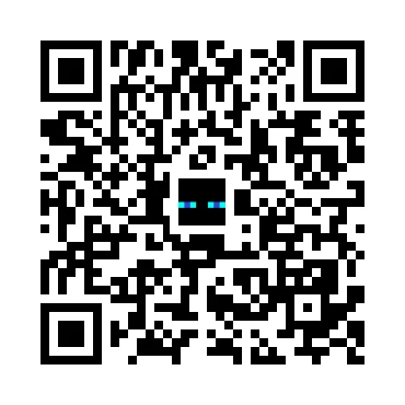 skins.qr_code_alt