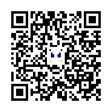 skins.qr_code_alt